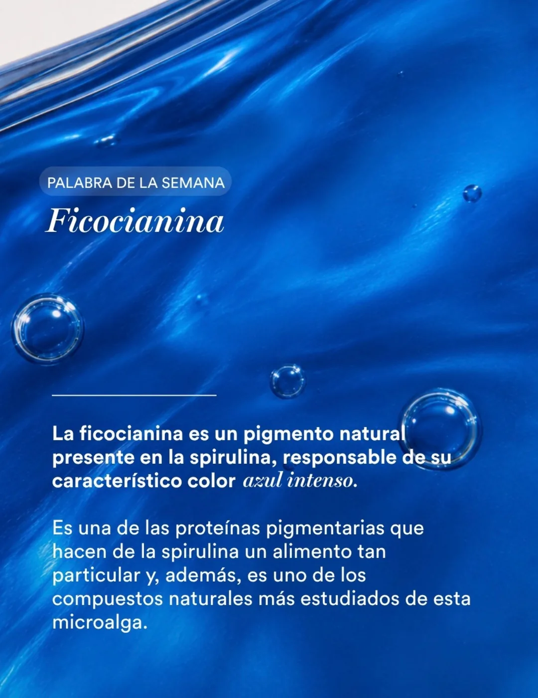 Ficocianina: Antioxidante Maestro - Espirulina Mater