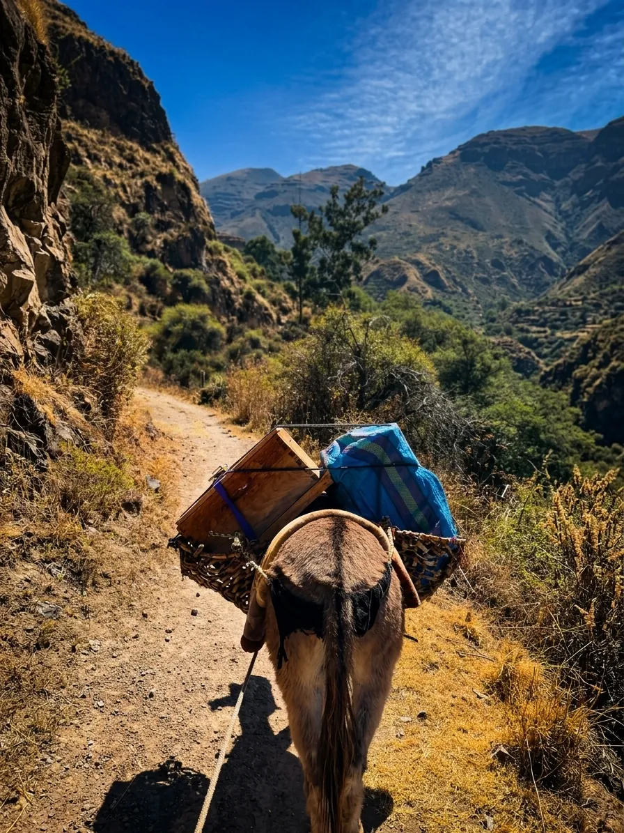 Travesía hacia el Origen - VICTURH