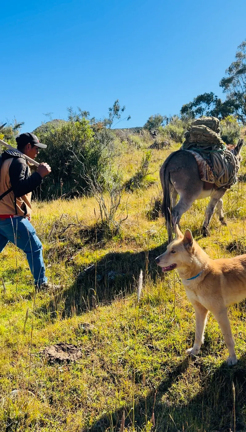 Expedición en los Andes - VICTURH