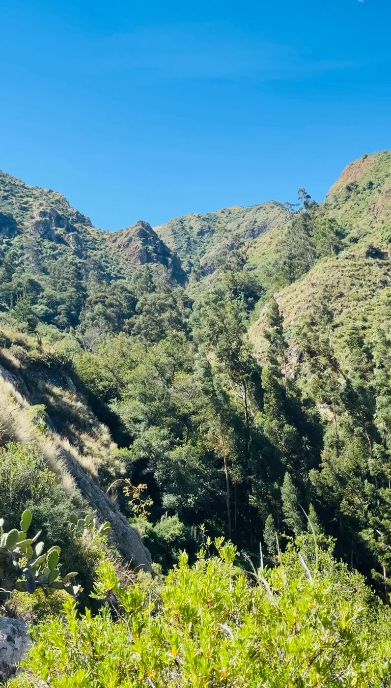 Naturaleza Virgen - VICTURH
